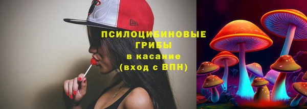 метадон Белокуриха