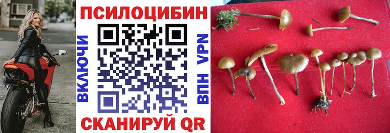 Галлюциногенные грибы ЛСД  Волчанск 